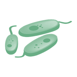 biology